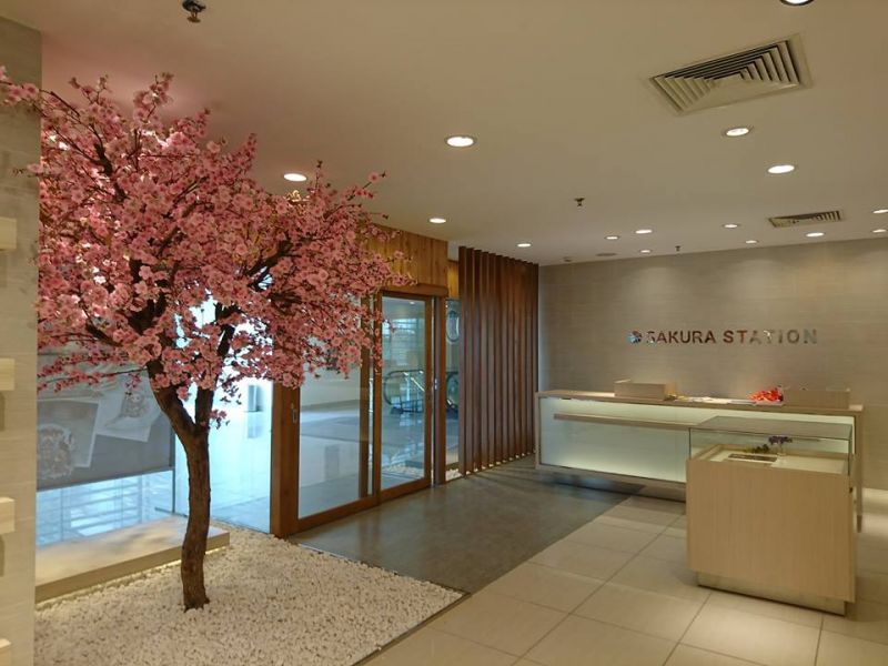 Khai trương Sakura Station, không gian Nhật giữa lòng Hà Nội